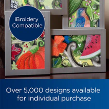 Load image into Gallery viewer, Brother NQ1700E Embroidery-only Machine