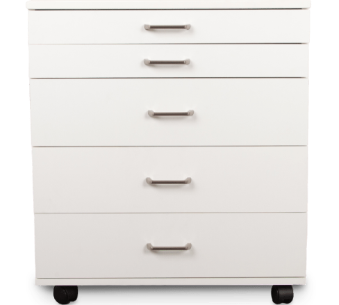 BERNINA Storage Caddie