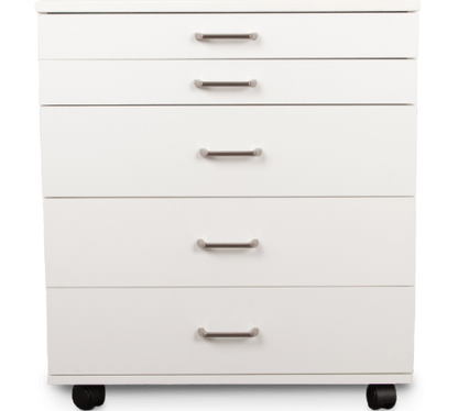 BERNINA Storage Caddie