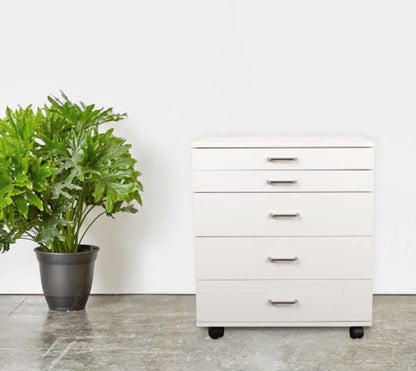 BERNINA Storage Caddie