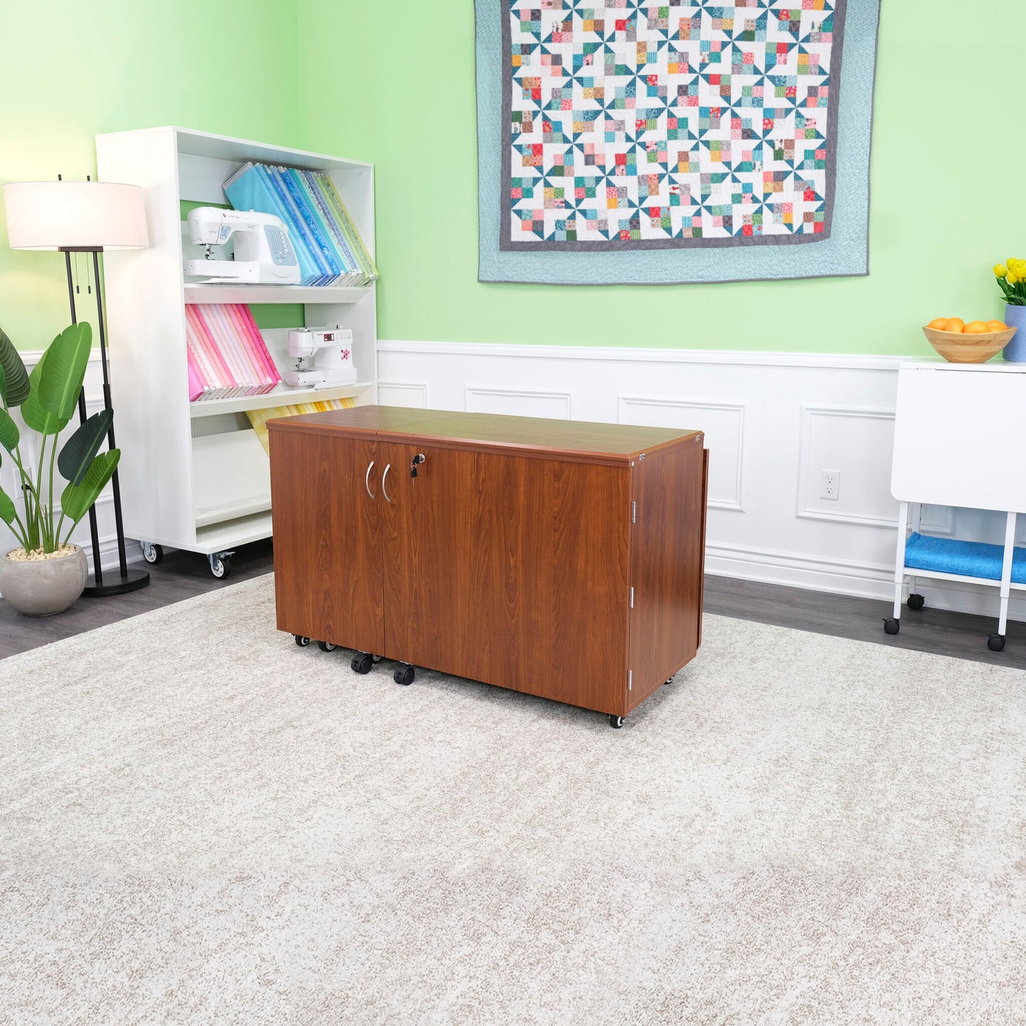 Arrow Sewing Aussie Dual Rail Electric Cabinet